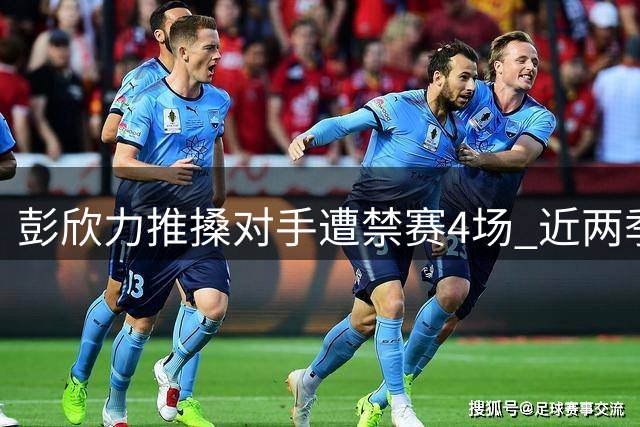 彭欣力推搡对手遭禁赛4场 近两季累计停赛达9场